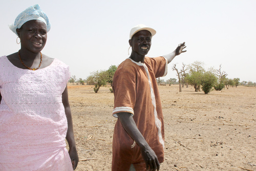 På det där fältet borde det snart växa hirs”, säger Samba Ndour och hans hustru Helen Mutta. Men utan regn växer inga grödor. Foto: Sari Lehtelä,