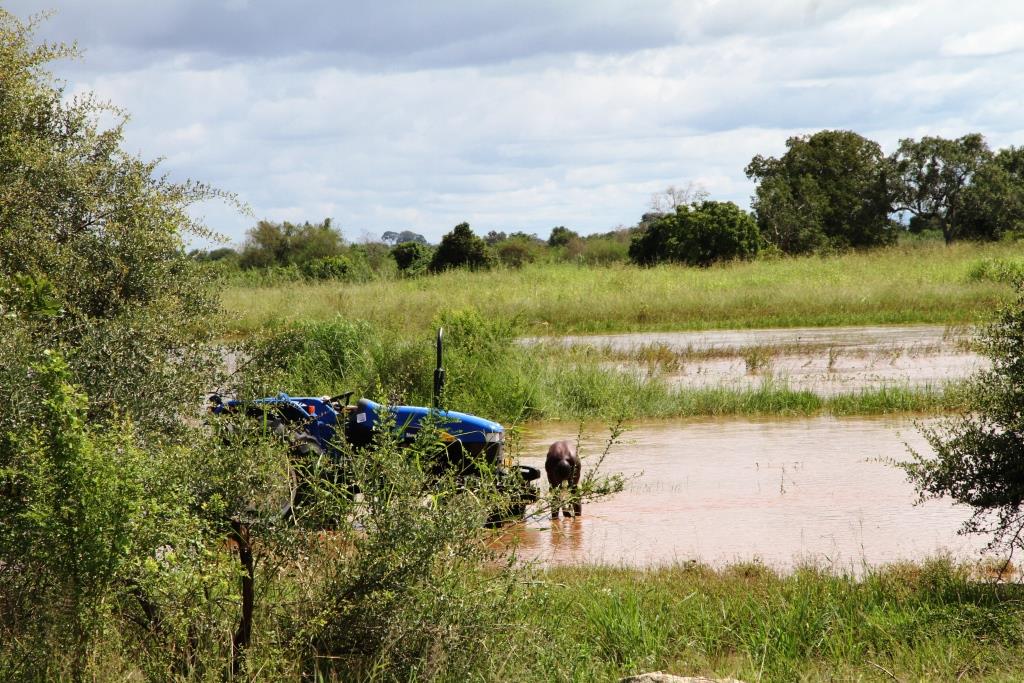 Vårens ovanligt långa regnperiod förstörde skördar och hem Morogoro